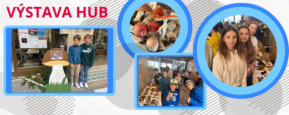 Vinaora Nivo Slider 3.x